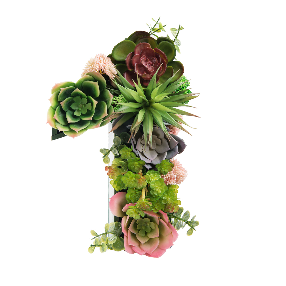 Логотип 1,2,3,4,5 с суккулентами (143*h27см)_2