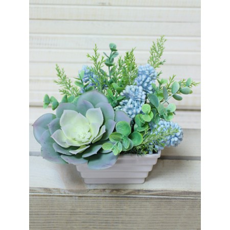 СКК05-2 Суккуленты