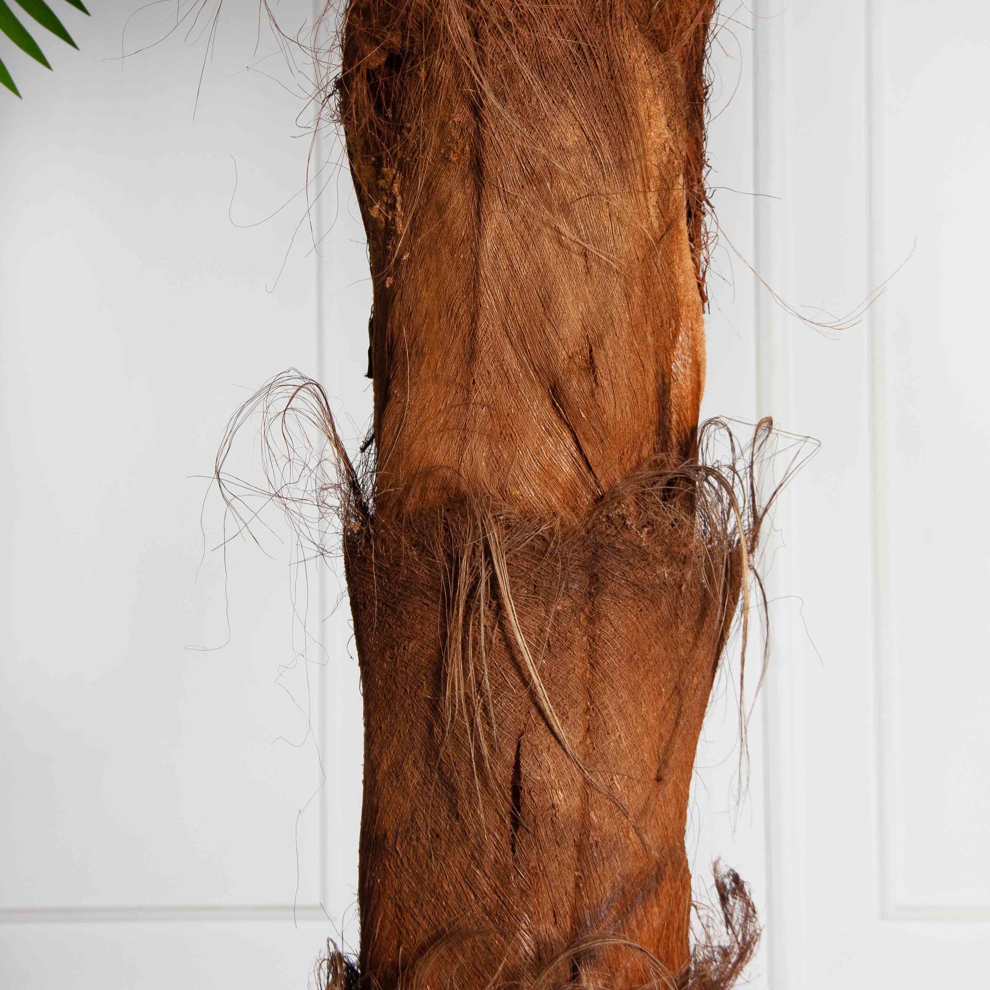 ПС300/ТР/49Прем(Пр)(F) Пальма Арека искусственная h300см (латекс) на мет.основании_4