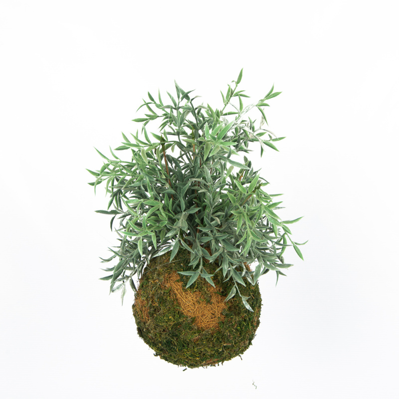 ККД35/143-1 Кокедама d-15 