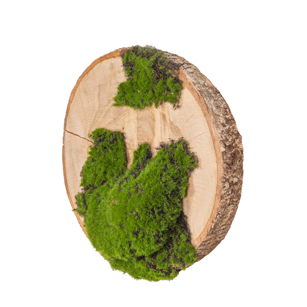 БК140/11 Композиция на березовом спиле d30-40см_1