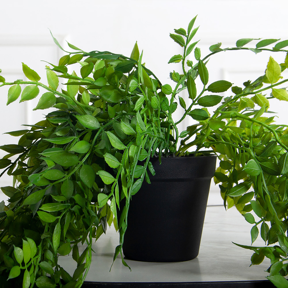 КС124(з)(F) Даксин искусственный ампельный в кашпо, d11см_4