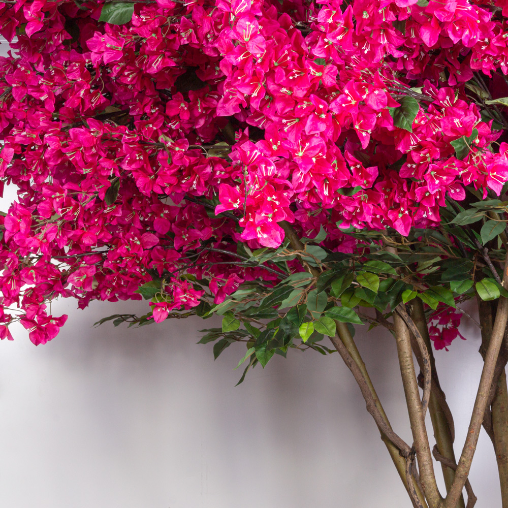 320/РН/434(з)(F) Бугенвилле́я искусственная h320см, d370х180см_3