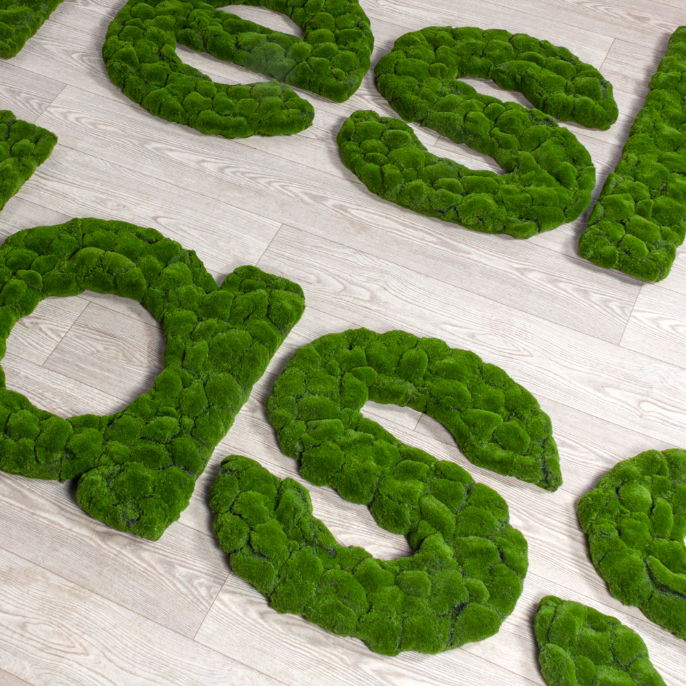 Логотип (з)(F) Fresh class со мхом 610h85см_3