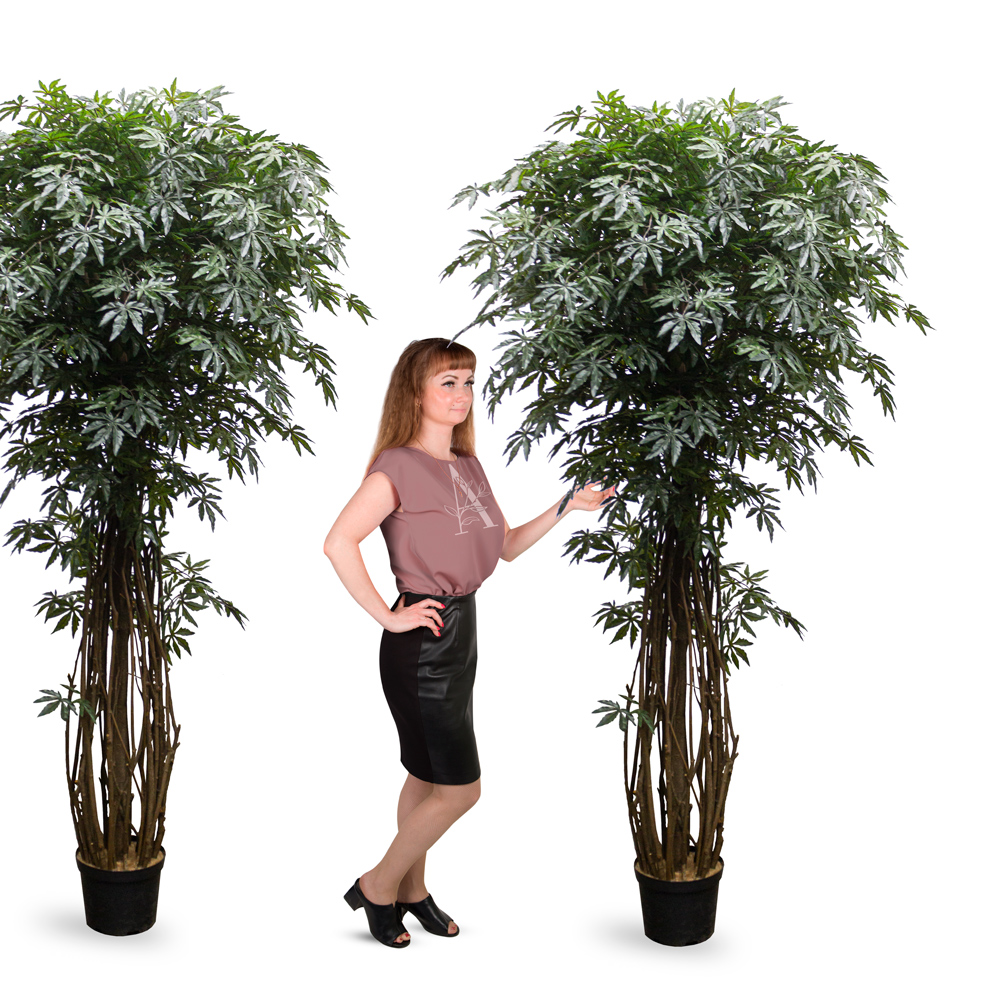 240/ССТК/400 Клен искусственный японский h240см, зеленый_2