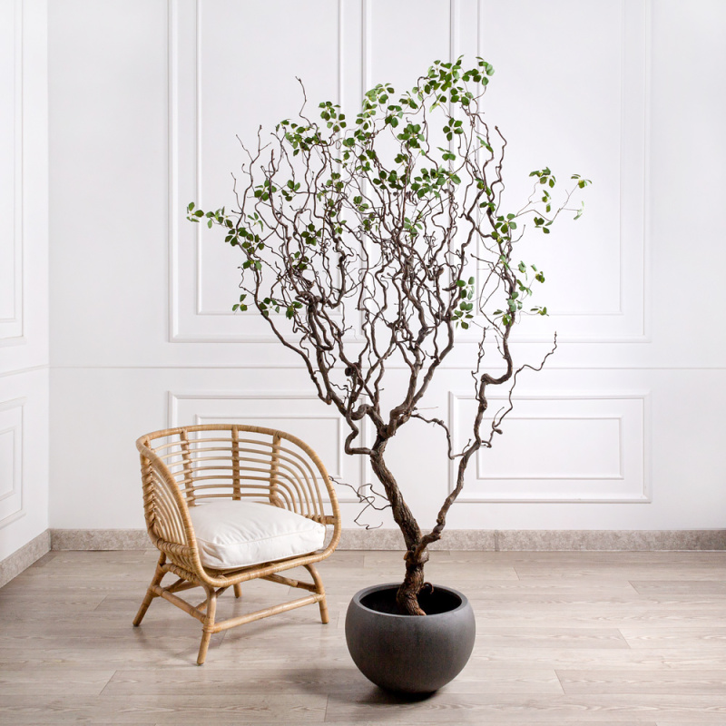 220/ДД/518(Пр) Шеффлера искусственная Компакта h220см (латекс)