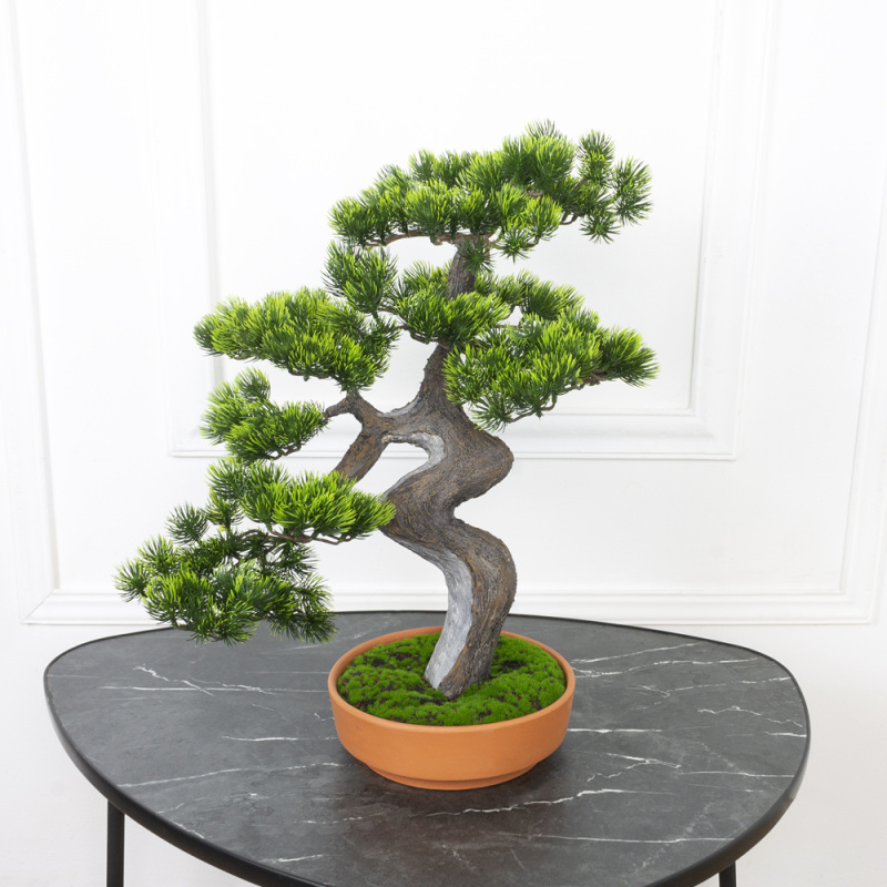 БС50/429(Promo) Бонсай Сосна искусственный h50см