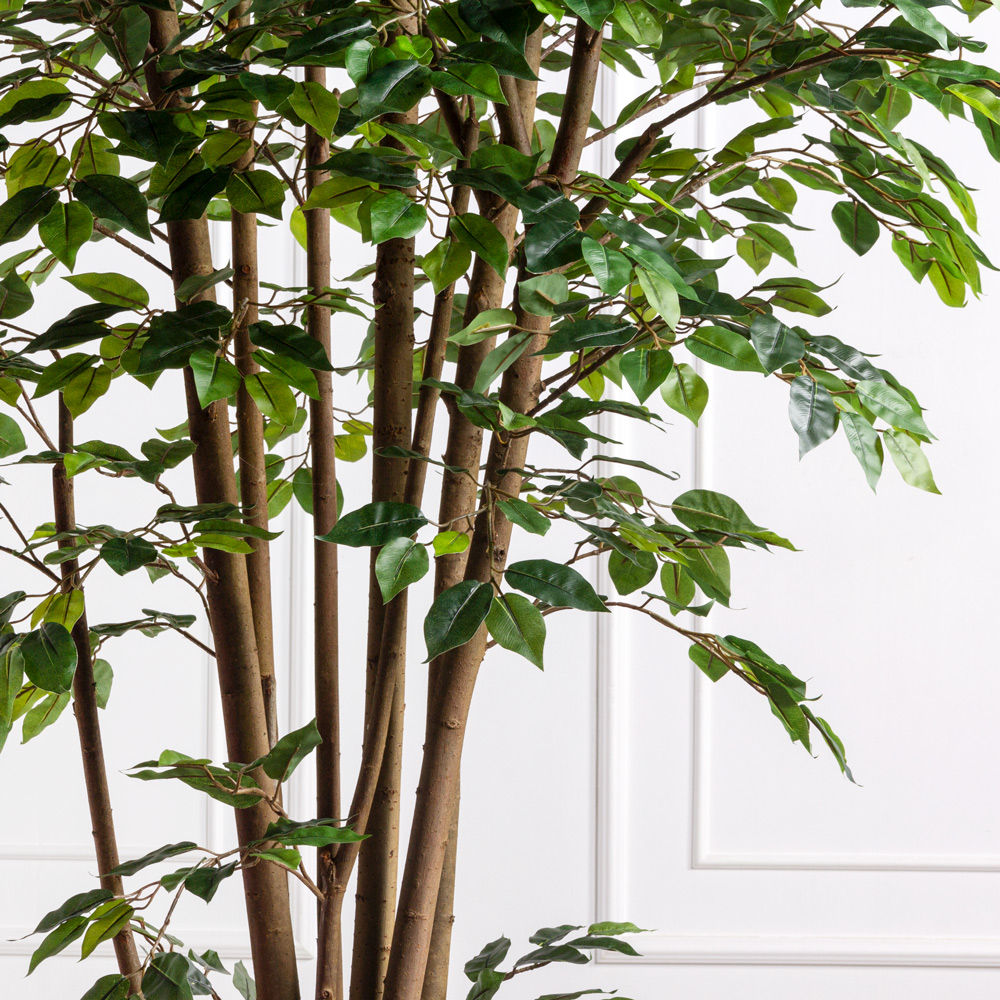 300/РН/34-3(з)(Пр)(F) Фикус искусственный h300см (латекс)_1