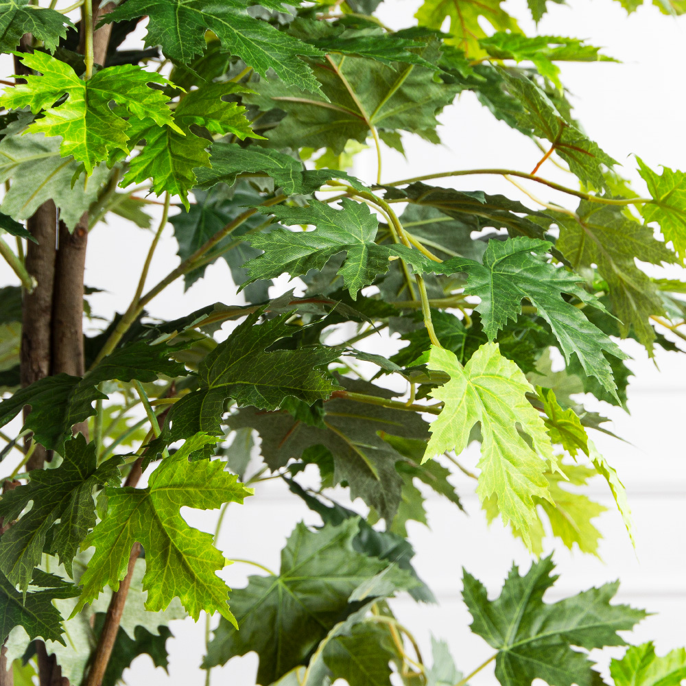 180/РН/ЭК/2900(Пр)(F) Клен искусственный h180см,зеленый_3