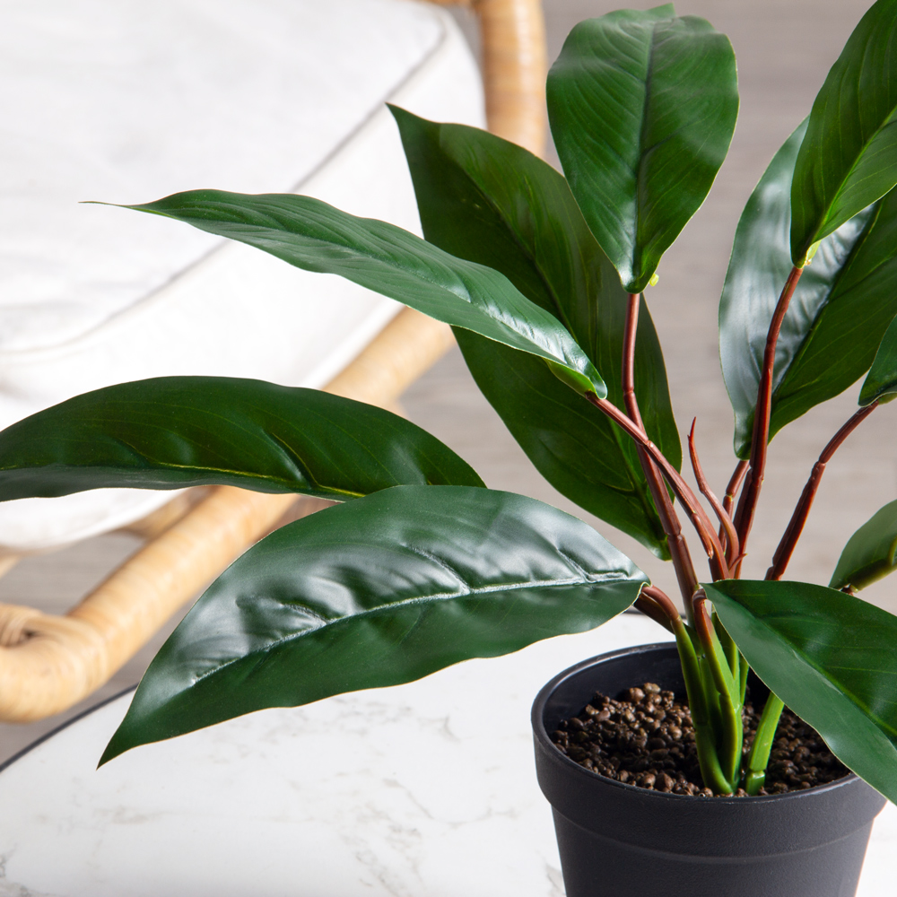 ЦС30/212(з)(Пр)(F) Спатифиллум искусственный в кашпо d11см, латекс_2