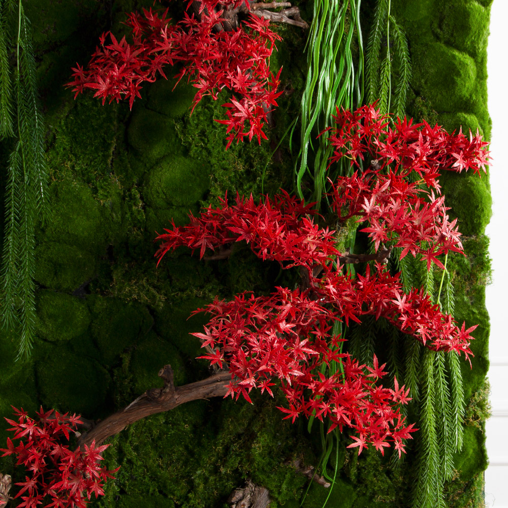 ФТС213(Пр)(F) Фитостена с японским кленом, за 1кв.м_4