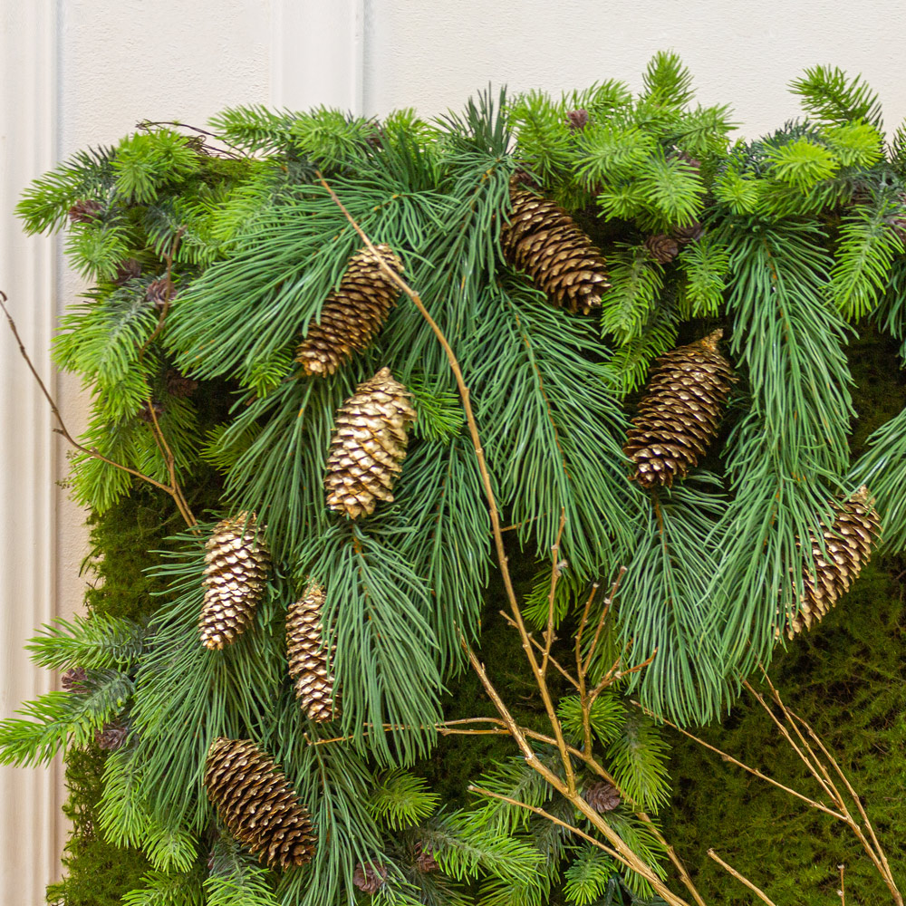 Фитостена 145 Новогодняя_1