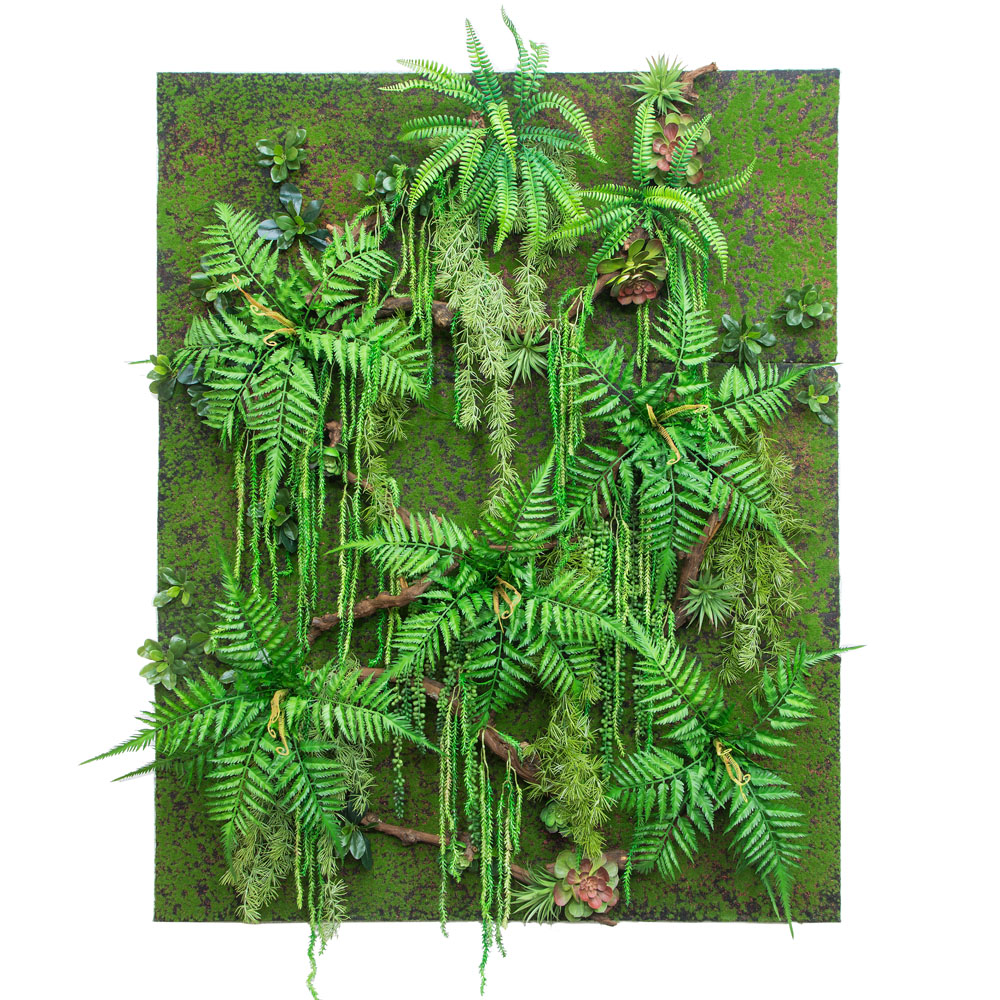 Фитостена 52(з) с суккулентами_5