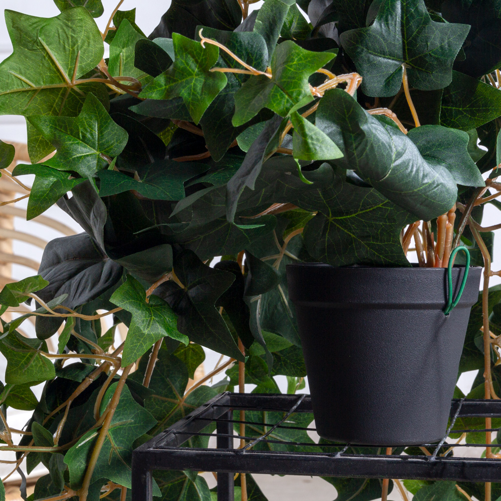 КС78(F) Плющ Хедера в кашпо_2