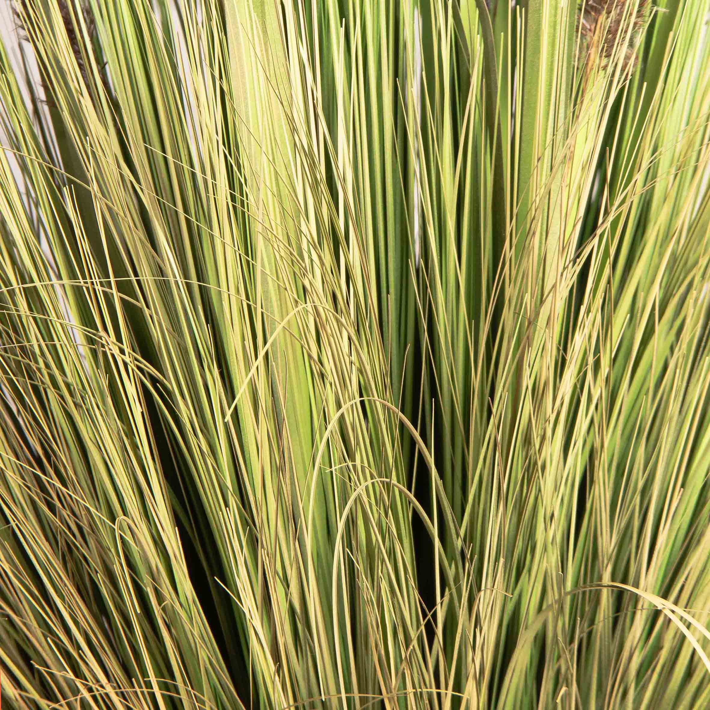 ТД100-2/2(з)(F) Трава Осока искусственная h70см в кокосовом боксе d39см h12см_3