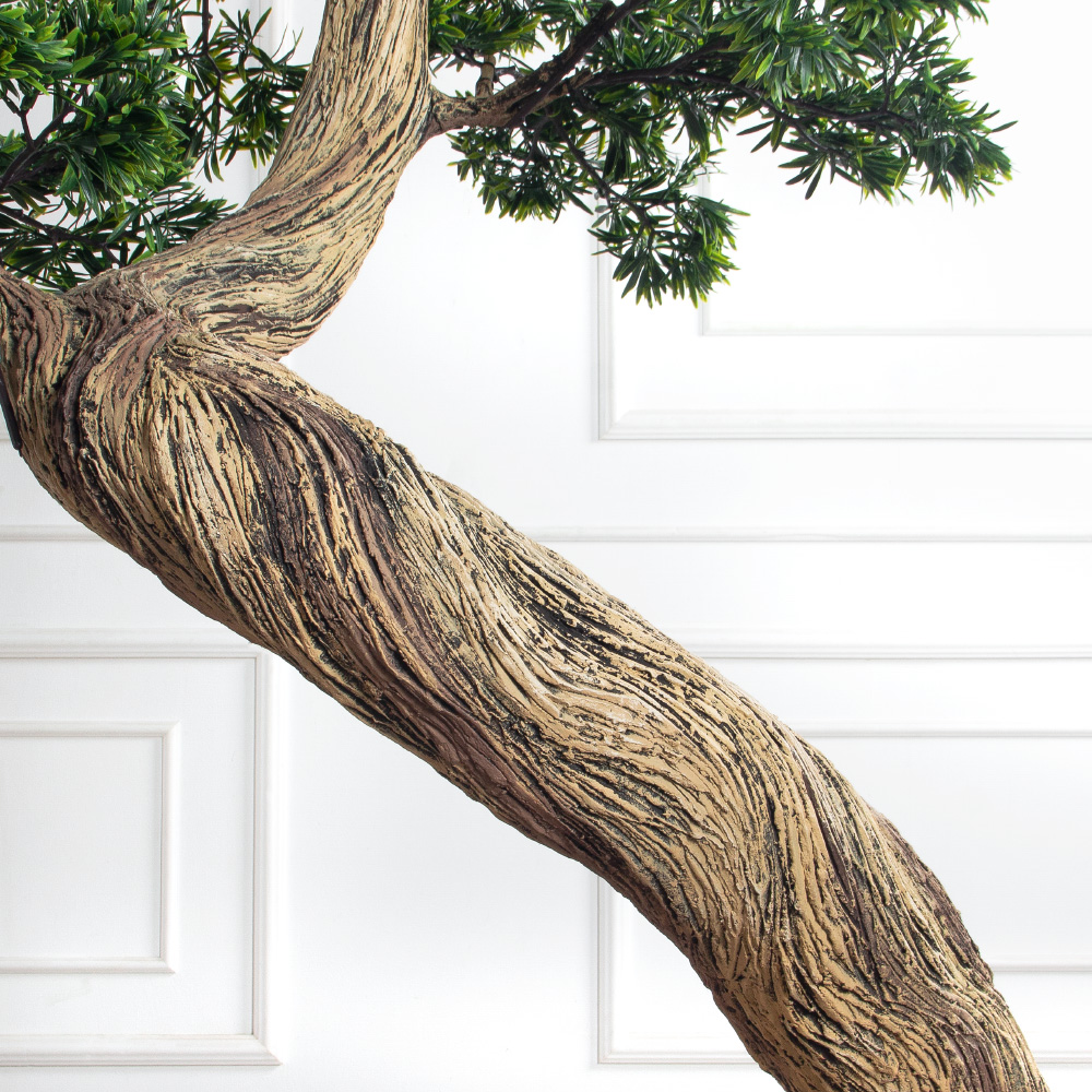 180МЕТ/АСС/241(з)(F) Подокарпус интерьерный h180 d110см_5