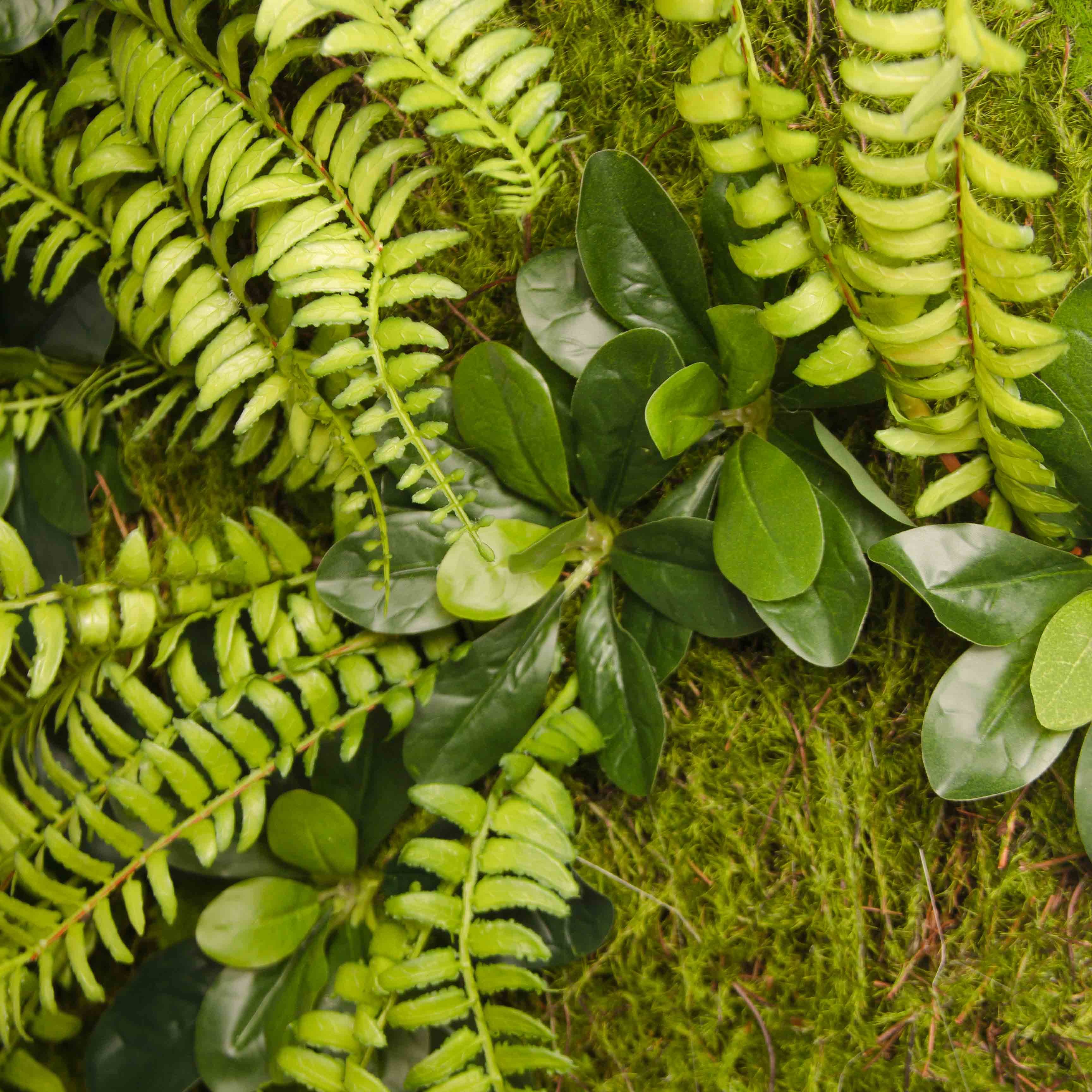 ФК05(з)(F) Фитокартина искусственная с толстянкой 50х50см_2