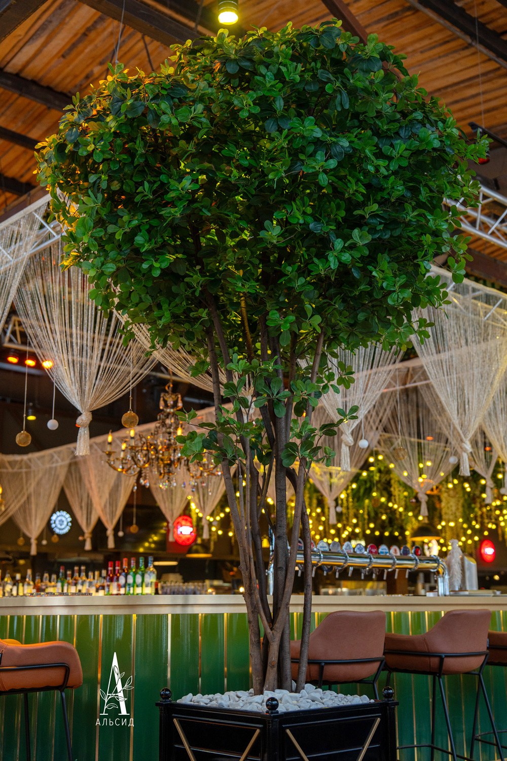 320/РН/84(з)(F) Шеффлера искусственная h320см (латекс)_10