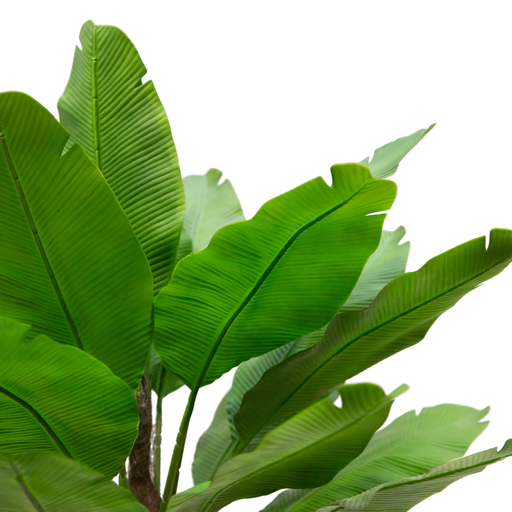 П160/356-2/1(з) Банановая пальма(зеленая) h160см(латекс) в интерьерном кашпо_2