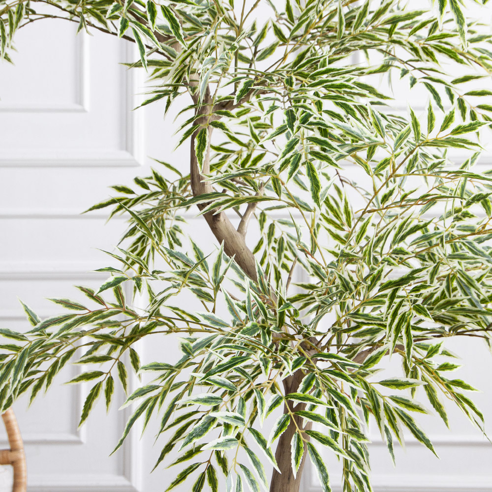 170/РН/АСС/701(Пр)(F) Магония искусственная h170см,зелено-белая,(латекс)_5