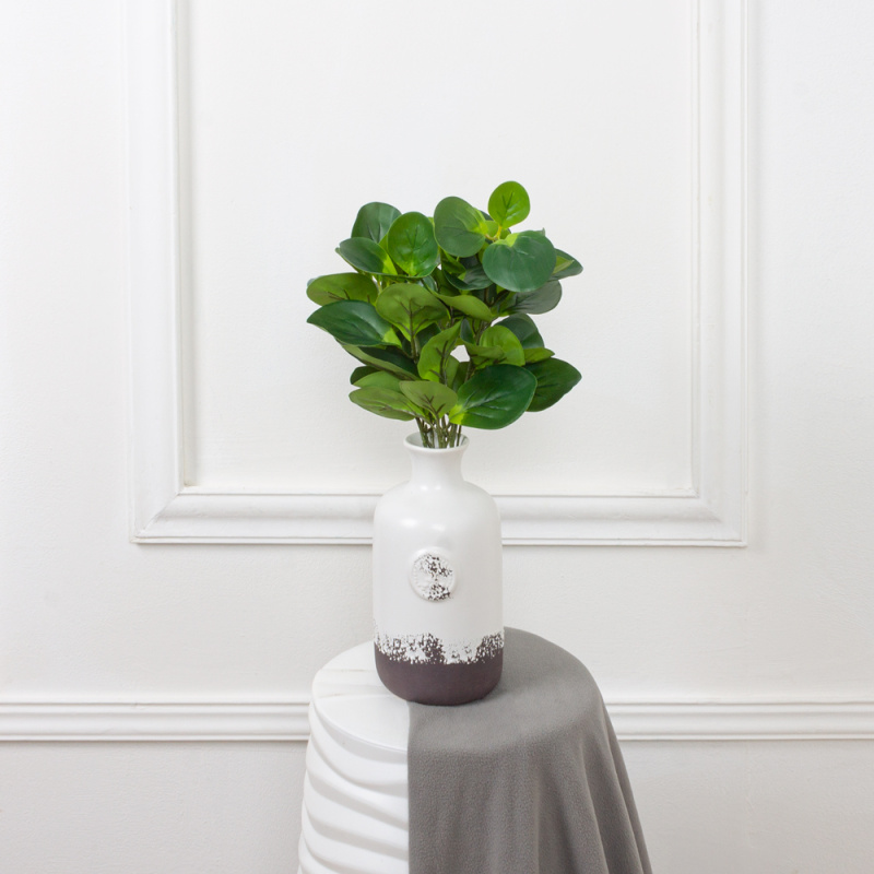 7143/0411-15 Толстянка искусственная куст 7 частей, h43см(латекс)