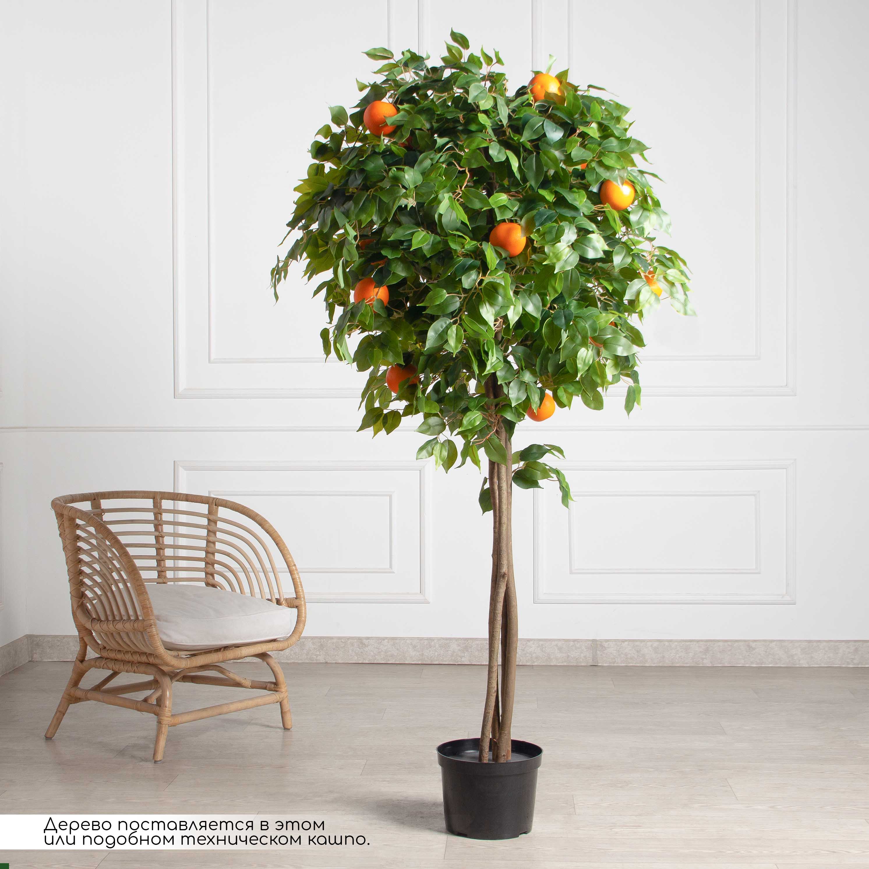 180/РПК/24М-2(з)(F) Апельсин искусственный с плодами h180см (латекс)_2