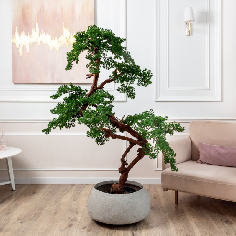 БС165/ОСИ/427(Пр)(F) Бонсай искусственный Сосна h165см_6