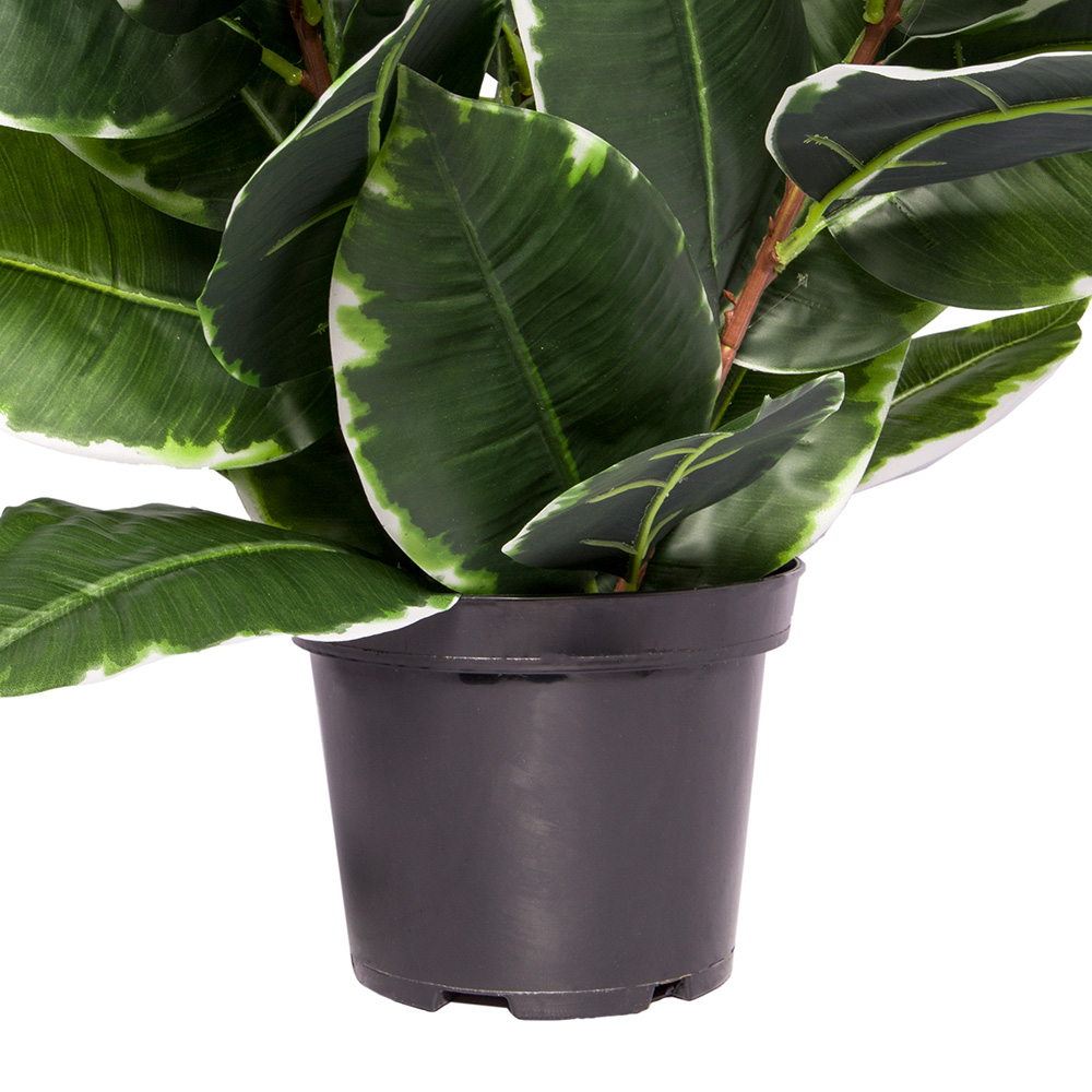 60-К-443(А)(з.)_2