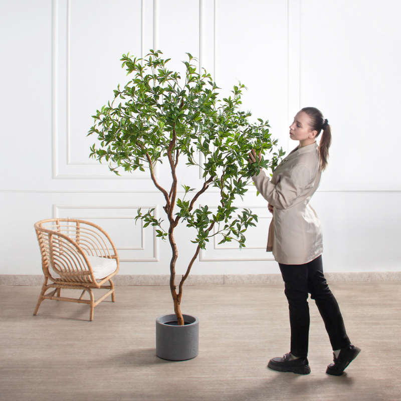 200/ВИТ/АСС/526(з)(F) Бересклет искусственный  h200см d130х80см, латекс_1