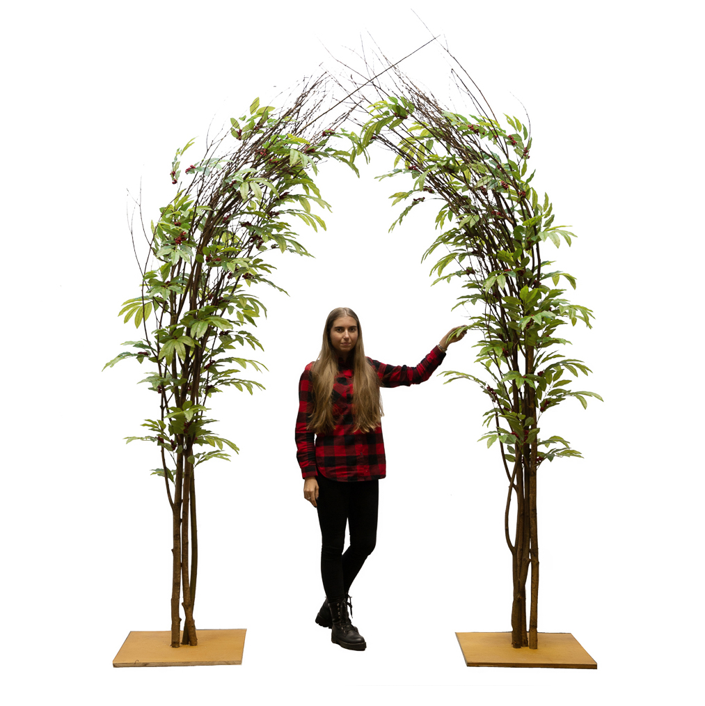 ДА02(з.) Декоративная арка с ягодами 210см h260см_4