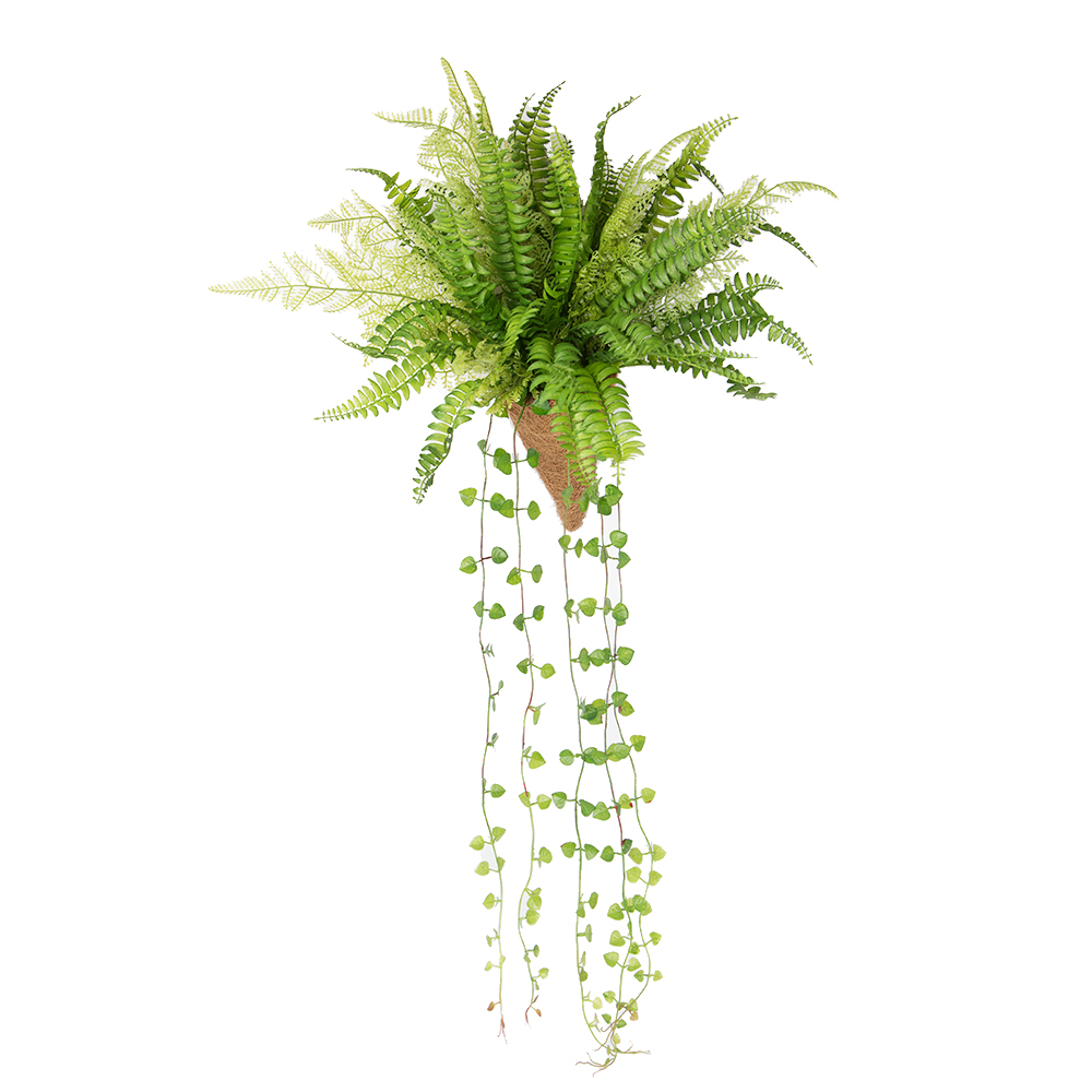 КН15-3/2(з) Папоротник ампельный h23см(силикон) в кокосовом конусе d11;h15см_2