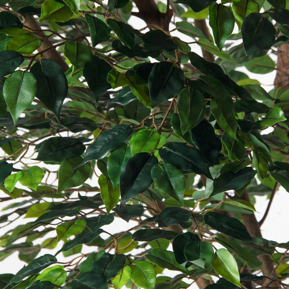 300/РН/34(Пр)(F) Фикус искусственный h300см (латекс)_7