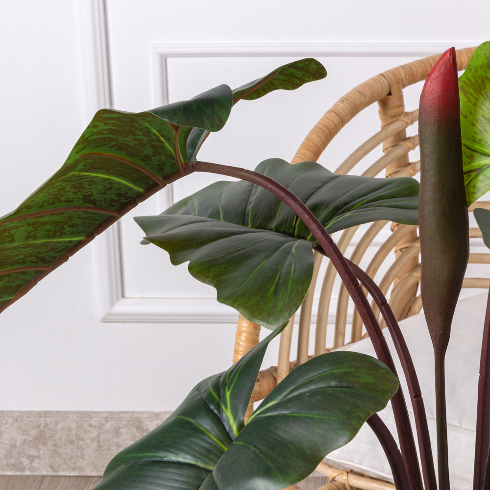 135/К/502(Safari) Алоказия искусственная h135см_7