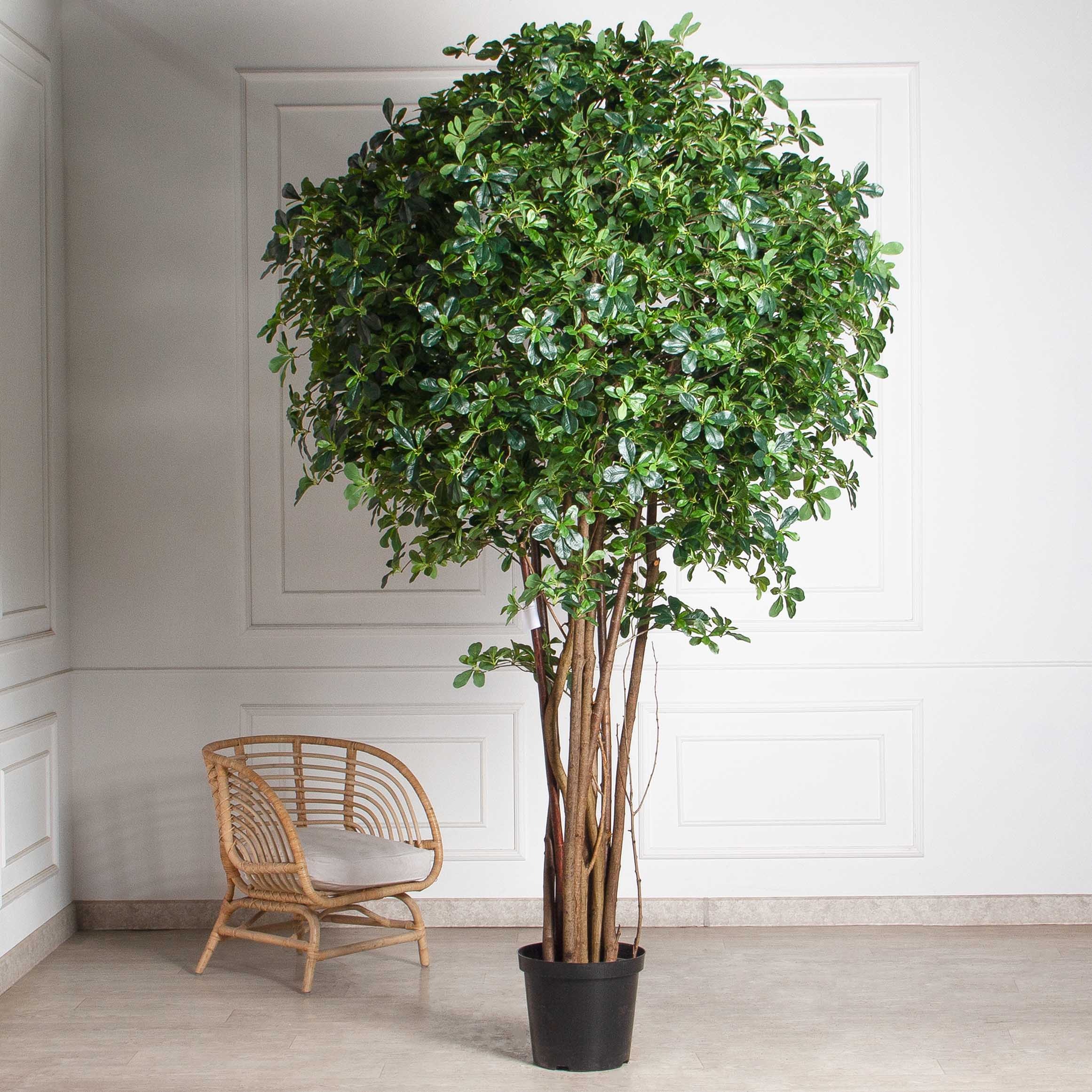 280/РН/84(УУ)(Пр)(F) Шеффлера искусственная h280см (латекс)_1