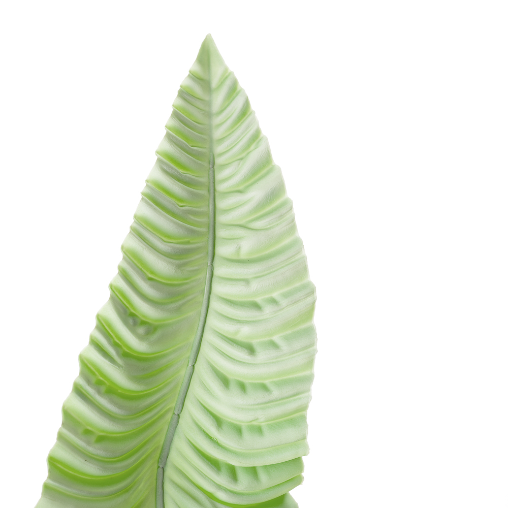 7143/0030-13/22 лист Колладиума гигант h=107см (67+43) мятный_2