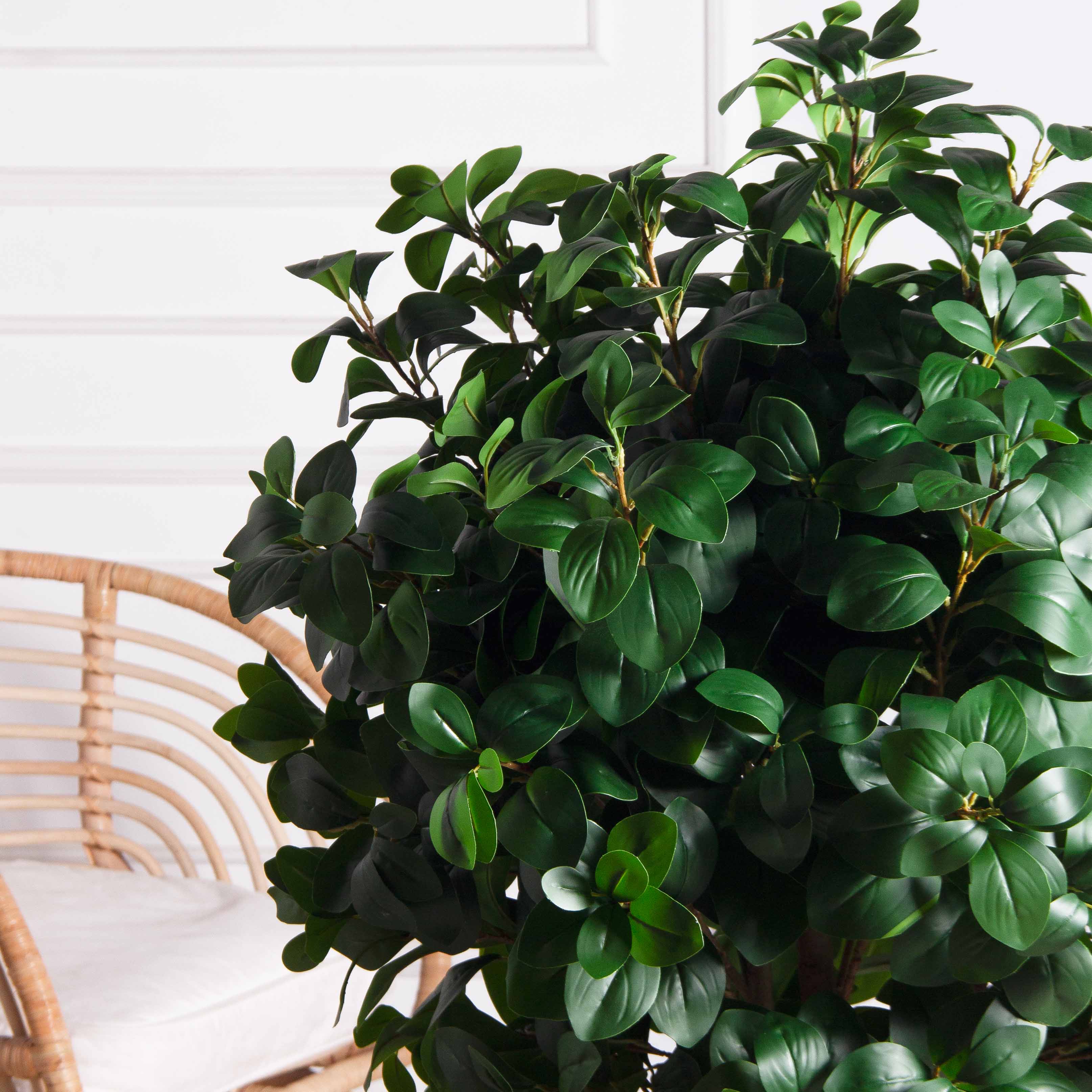 120/Ш/208(з)(F) Рускус искусственный h120, d80см (латекс)_6