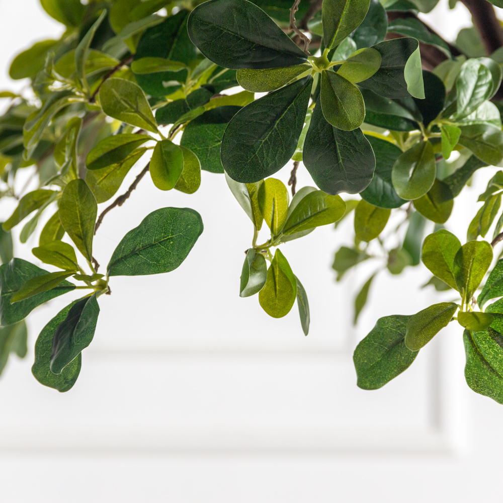 250/РН/84-1(з)(F) Шеффлера искусственная h250см, d220см_3