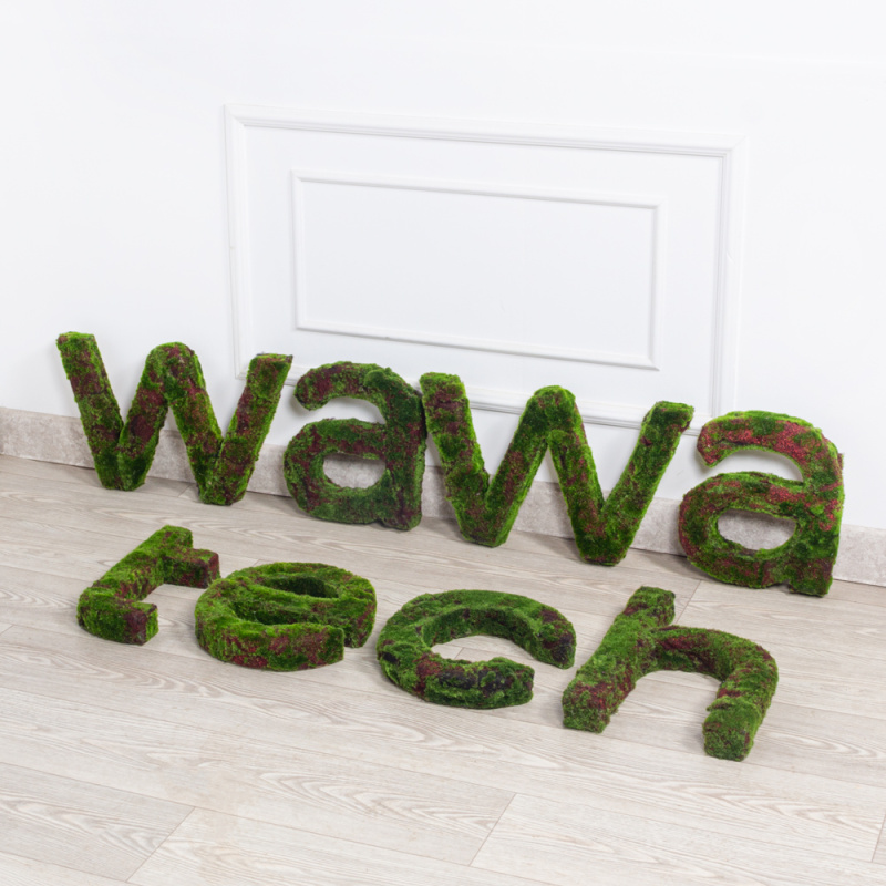 Логотип (з)(F) WAWAtech 300хh30см
