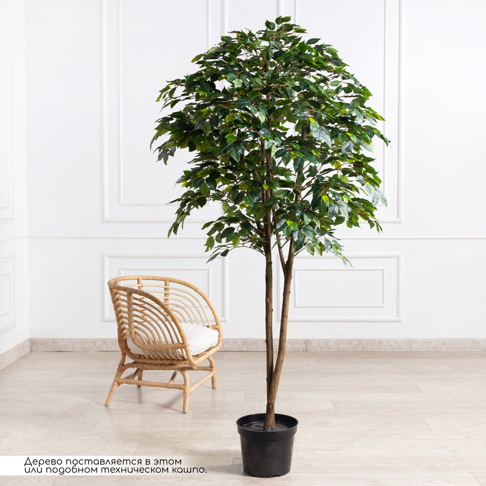 200/РН/34(F) Фикус искусственный h200см (латекс)_1