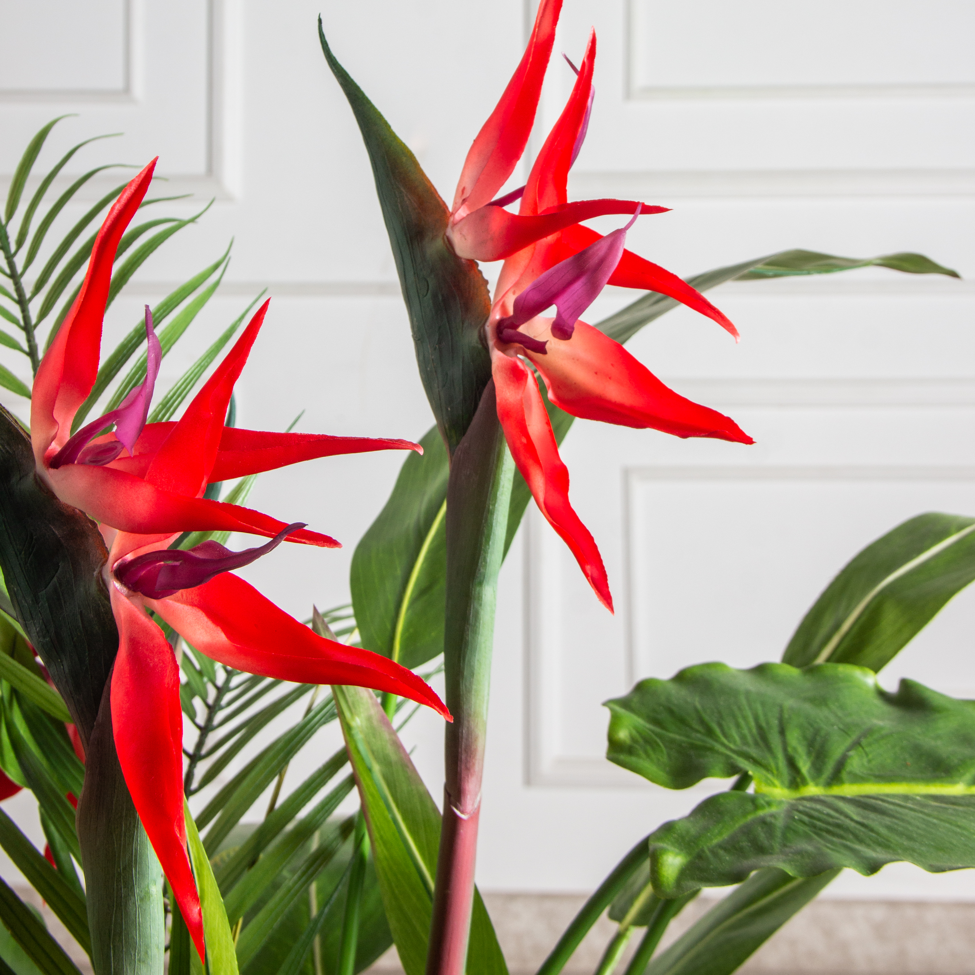 К327-28/2(з)(F) Композиция искусственная Тропический микс со стрелицией в кашпо d26см_2