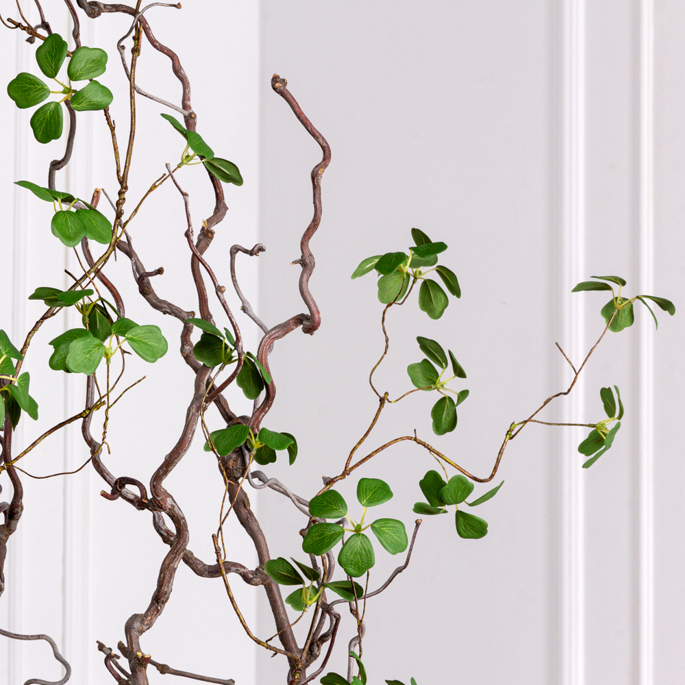 220/ДД/518(Пр) Шеффлера искусственная Компакта h220см (латекс)_4