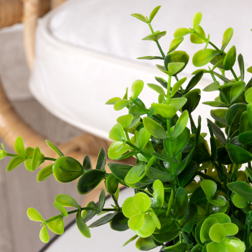 ЦС26/202 Самшит эвкалиптовый искусственный h15см в горшке d11см_7