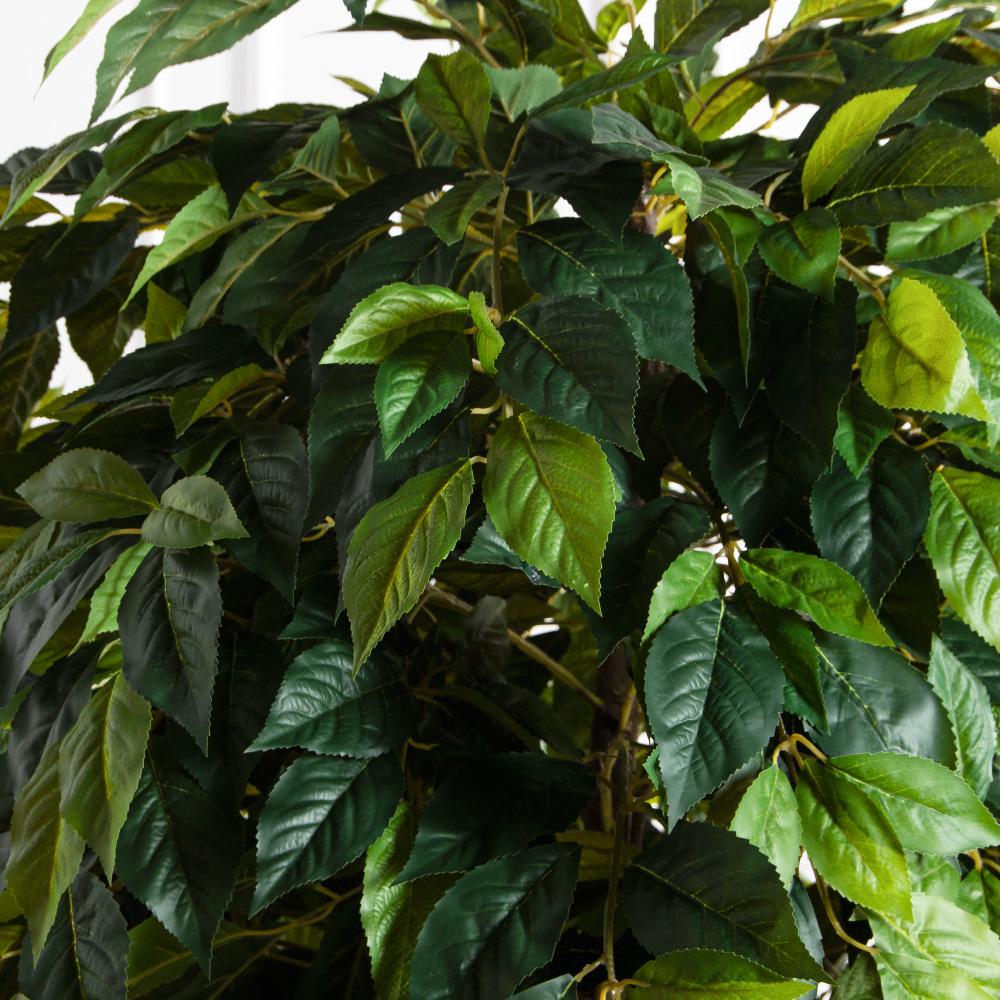 180/РН/537(FixS)(Пр)(F) Азимина искусственная h250см, (латекс)_3