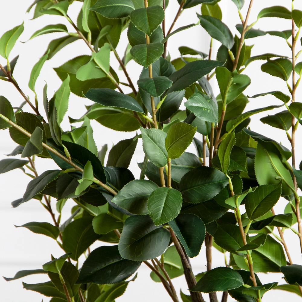 150/К/РН/705(Пр)(F) Фикус искусственный кустовой h150см (латекс)_6