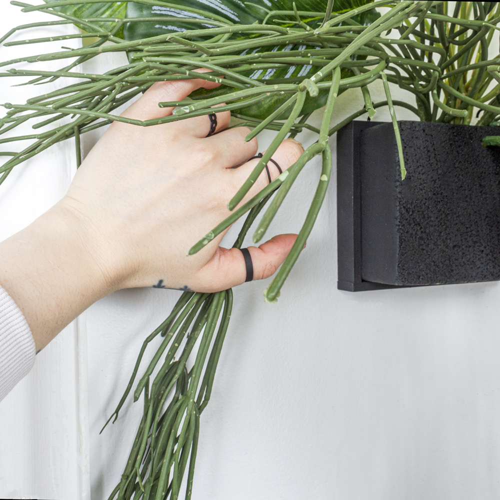 БК 01(Promo) Композиция с рипсалисом и филодендроном на блоке 15*h10см_8