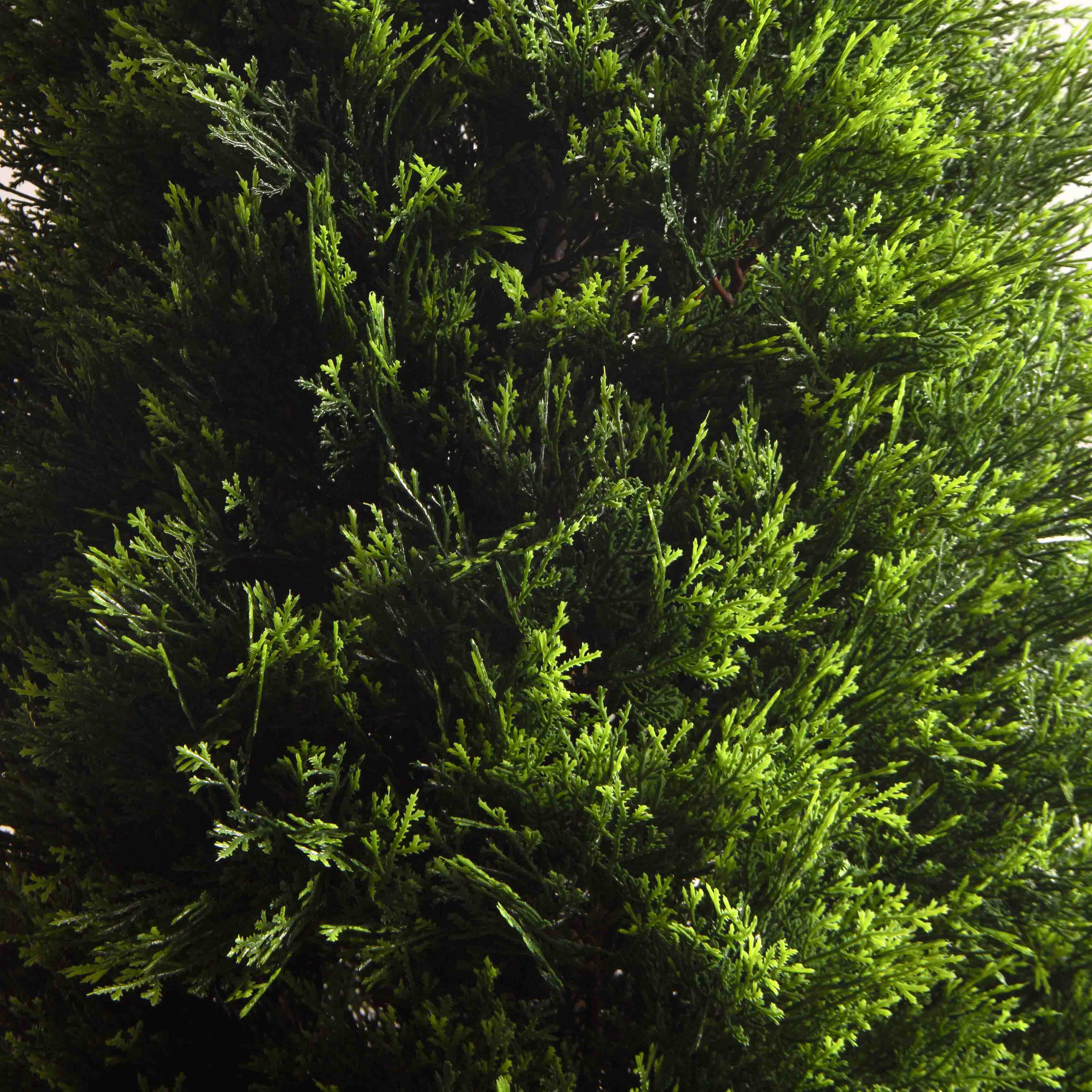 Т170/146(F) Туя искусственная конус Люкс h170см_5