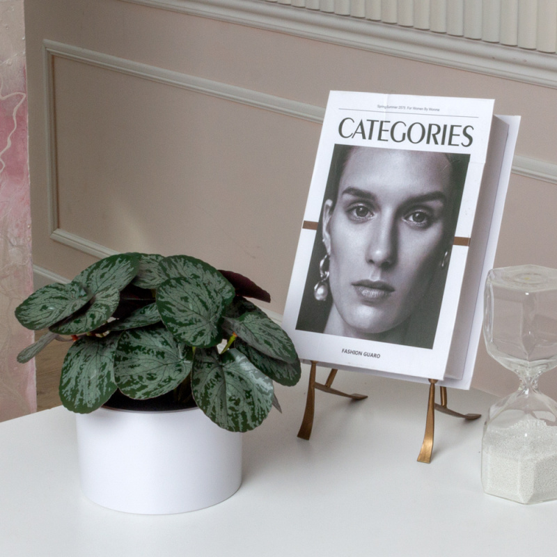 ЦС208-1(F) Пеперомия искусственная полосатая, зелено-бордовая