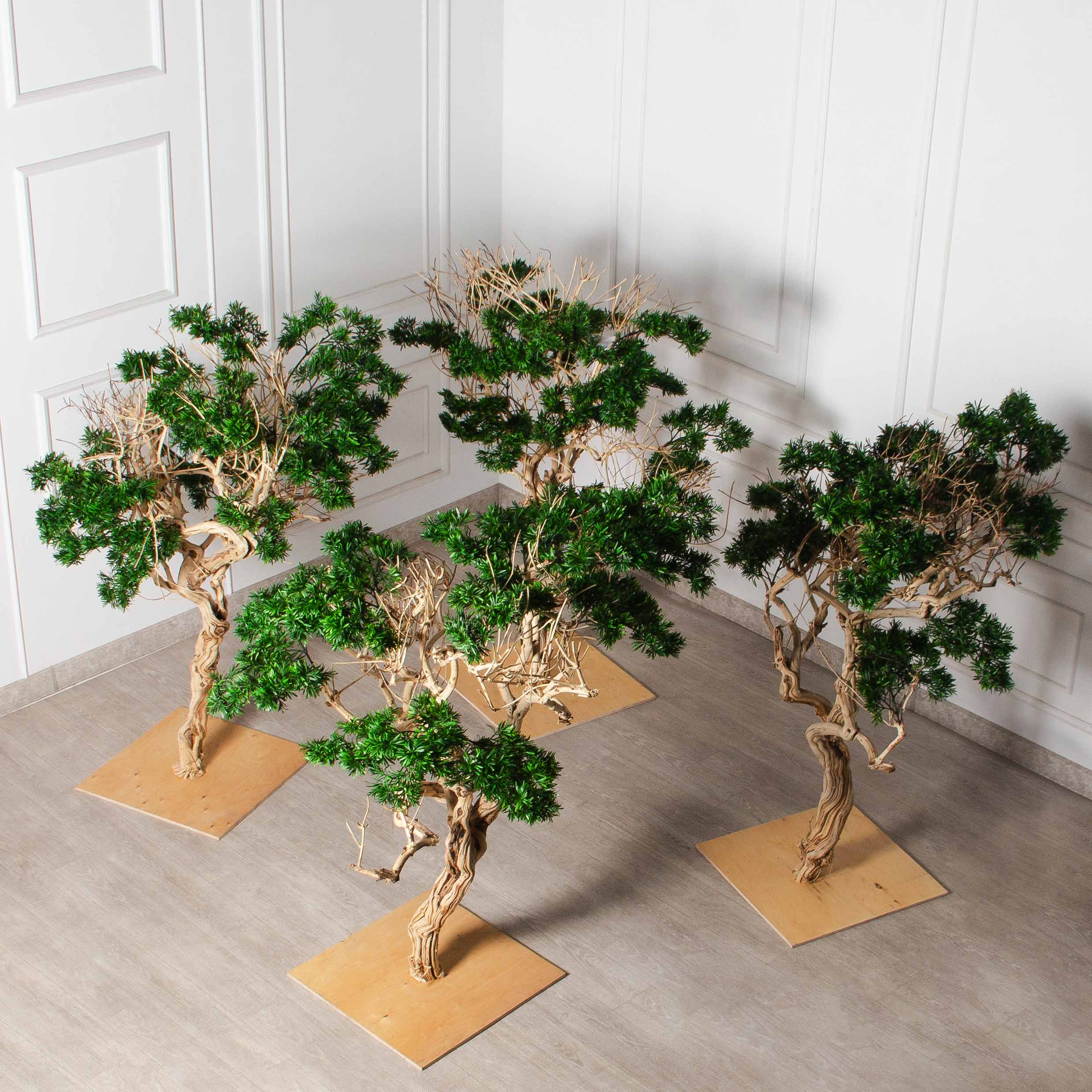 БЛ170/Д3/241(Пр)(F) Бонсай искусственный Подокарпус h170см_8