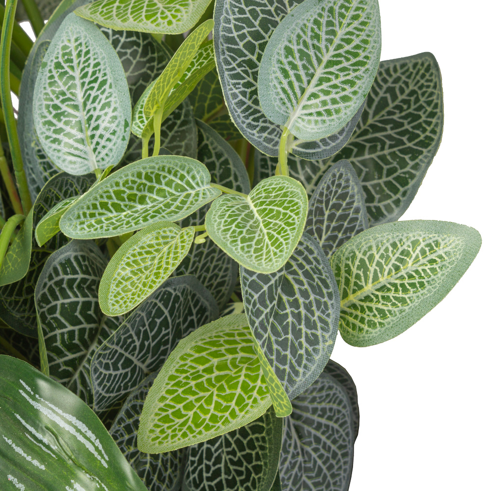 БК 38 Композиция с филодендроном и фиттонией на блоке 15*h10_3