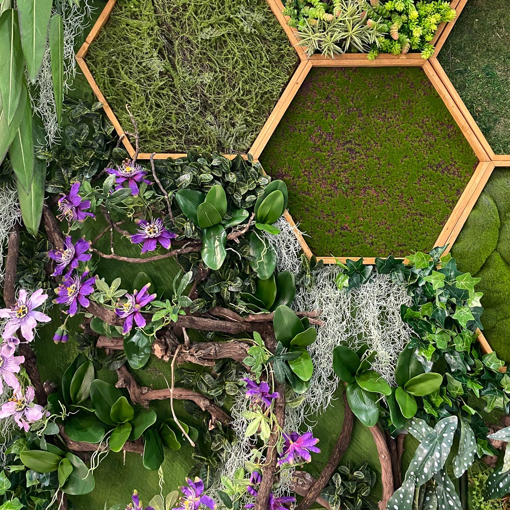 Фитостена 101_3